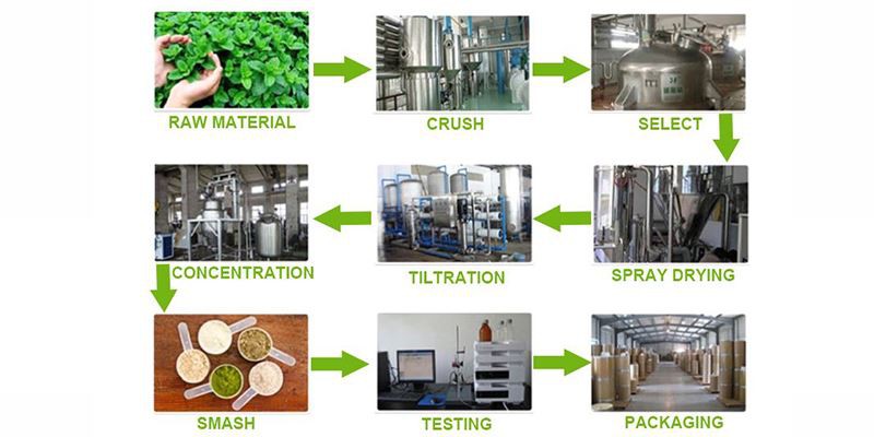 Production process of polygonatum extract powder